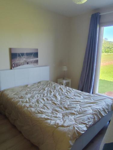 une chambre avec un grand lit avec une fenêtre dans l'établissement Appartement La pierre de bresse, à Pierre