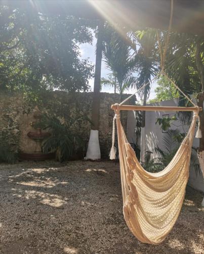 a hammock in a yard with palm trees at Hotel Holly in Mérida