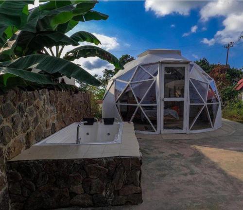 a large glass iguana building on a stone wall at hotel y restaurante mirador aires de la sierra, minca in Minca