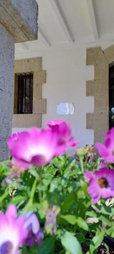 a group of pink flowers in front of a building at Chavarri Etxea, casa indiana XBI00149 in Biáñez