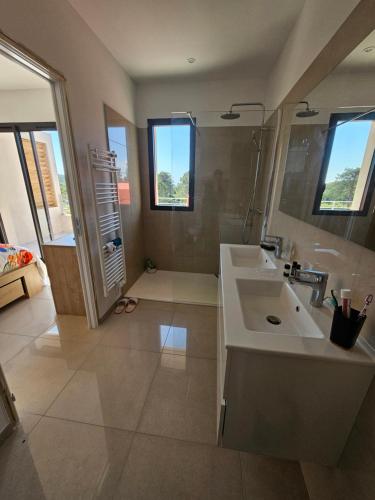 une salle de bain avec un lavabo et un grand miroir dans l'établissement Appartement de standing Lema- clim-wifi- 3 chambres, à Lecci