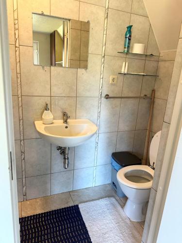 a bathroom with a sink and a toilet at Dviejų kambarių apartamentai Nidoje in Nida