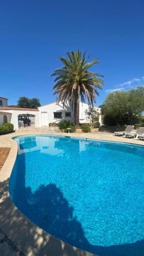 une grande piscine bleue avec un palmier en arrière-plan dans l'établissement Rossignol, à Saint-Peïre-sur-Mer