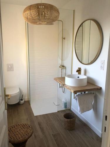 une salle de bain avec un lavabo et une douche avec un miroir dans l'établissement Rossignol, à Saint-Peïre-sur-Mer