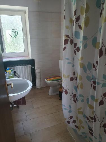 a bathroom with a toilet and a sink and a shower curtain at Pension zum Hollerbusch in Heilbach
