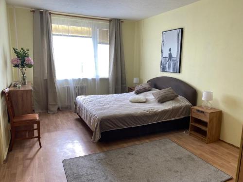 a bedroom with a large bed and a window at Apartmány 2kk u Fakultní nemocnice Volné parkovaní in Hradec Králové