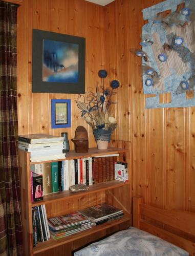 a room with a book shelf with books at BnB Claudy et Elizabeth Michellod-Dutheil in Le Châble