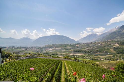 a vineyard in a valley with mountains in the background at Hotel-Garni Appartement Gartenheim in Schenna