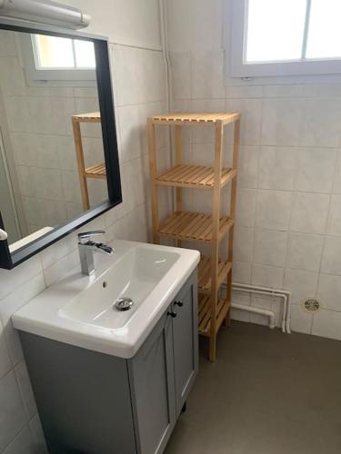 une salle de bain avec un lavabo et un miroir dans l'établissement Appartement hyper centre Caen, à Caen