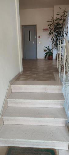 a hallway with stairs with a door and a plant at Oasis Apartment - Pontassieve Guest House 2 - 20 minuti da Firenze in Pontassieve