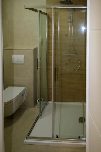 a shower with a glass door in a bathroom at Family House Bubalo in Opuzen