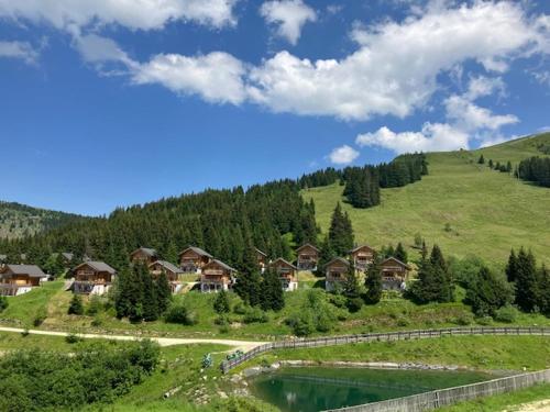 a group of houses on a hill next to a lake at CHALET GAMSBOCK Koralpe in Elsenbrunn