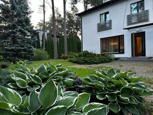 a house with a lot of green plants in front of it at Pirita Beach Villa in Tallinn