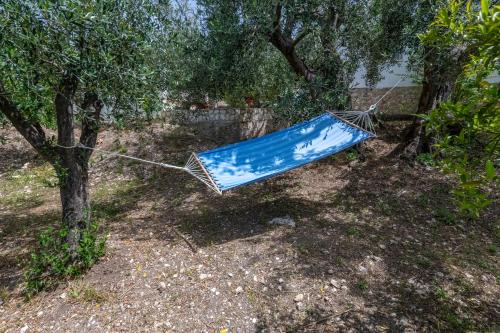 Κήπος έξω από το Villa di Pasquale