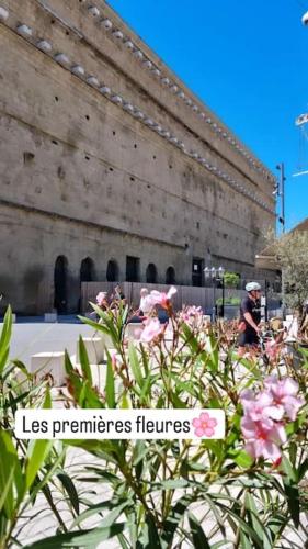 Un edificio con un ramo de flores delante. en Studio avec chambre, en Orange