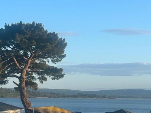 Billede fra billedgalleriet på Rockley Park Haven i Lytchett Minster