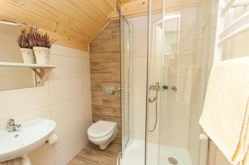 a bathroom with a shower and a toilet and a sink at Alpejska Wioska in Istebna