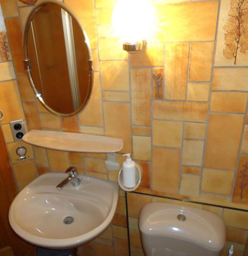 a bathroom with a sink and a mirror and a toilet at BnB Claudy et Elizabeth Michellod-Dutheil in Le Châble