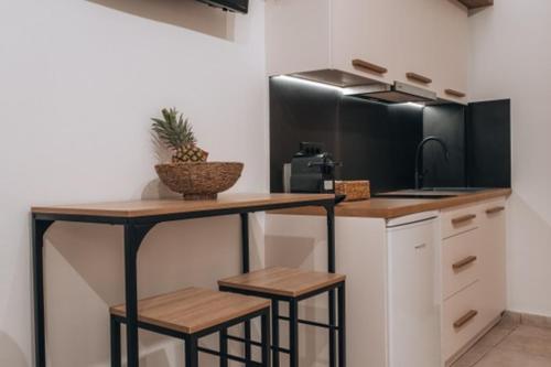 Kuchyň nebo kuchyňský kout v ubytování Parva Domus
