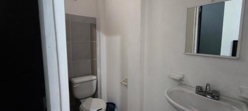 a bathroom with a toilet and a sink and a mirror at Hotel Casa Luna in Palenque
