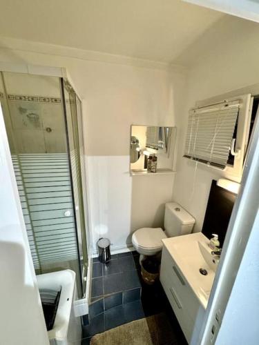 une salle de bain avec une douche, des toilettes et un lavabo dans l'établissement Studio en plein centre-ville, à Lésigny