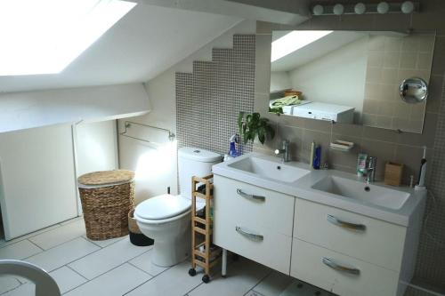 une salle de bain avec un lavabo et des toilettes dans l'établissement Cosy Bella appartement proche PartDieu, à Villeurbanne