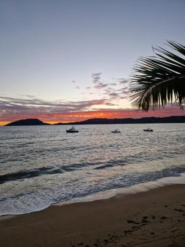 a beach with a palm tree and boats in the water at Ô Bleu Azur in Antsatrakolo