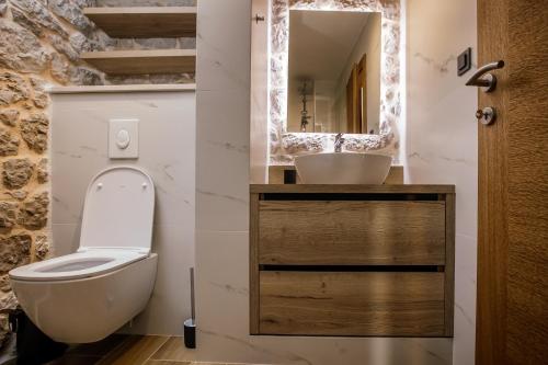 a bathroom with a toilet and a sink at Villa Mila Imotski Makarska in Zmijavci