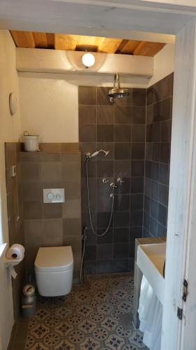 a bathroom with a shower and a toilet and a sink at Kellerstöckl Isabell in Kohfidisch