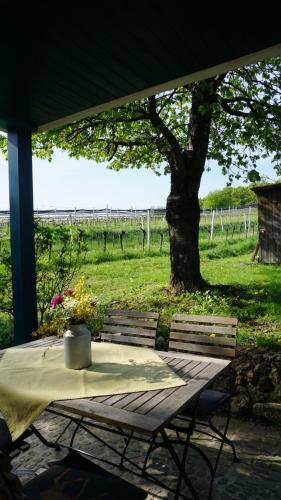 a picnic table and bench with a tree in a field at Kellerstöckl Isabell in Kohfidisch