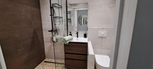 une salle de bain avec une douche en verre et un lavabo dans l'établissement Charmant studio neuf Ajaccio Casone - Trottel, à Ajaccio