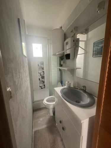 une salle de bain avec un lavabo et des toilettes dans l'établissement le rêve Marin appart t2 proche plage, à Palavas-les-Flots