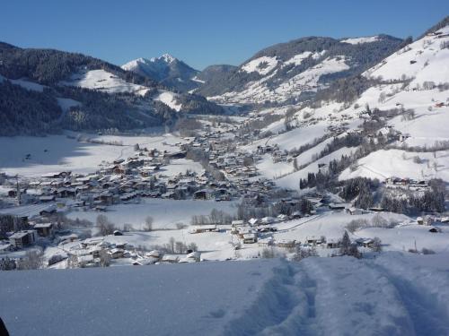 a small village in the snow on a mountain at Hotel Sonne in Niederau