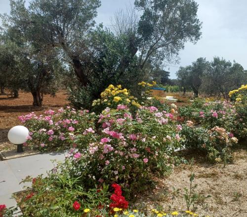a garden filled with flowers in a park at Zeituna Lodge a Porto Cesareo in Torre Lapillo