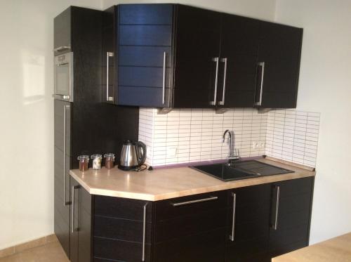 Una cocina con gabinetes negros y un fregadero. en Apartment Sirius C in center of CB., en České Budějovice