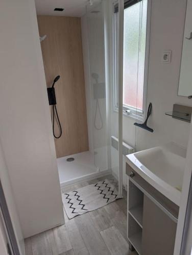 une salle de bain blanche avec une douche et un lavabo dans l'établissement Mobil-home l'albanou, au Pouzin