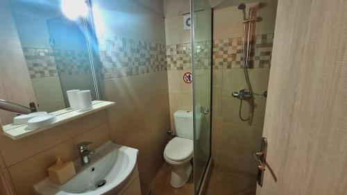 a bathroom with a shower and a toilet and a sink at Sofia Apartments in Barbati