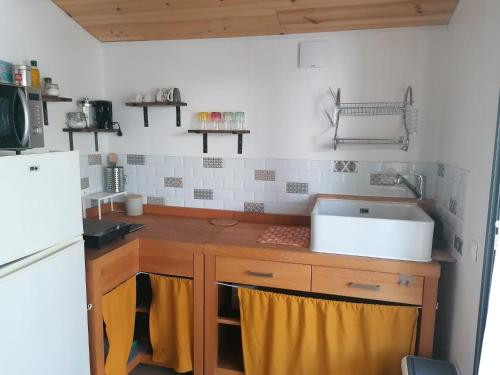 une cuisine avec un évier et un réfrigérateur blanc dans l'établissement La cabane au fond du jardin, à Montpellier