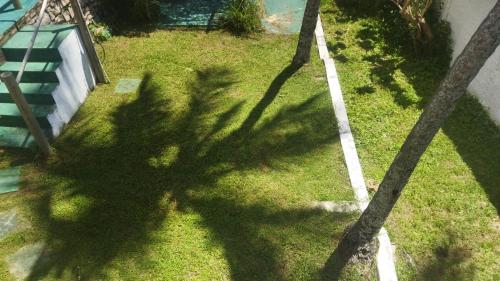 Taman di luar Cabanas Caraúbas - visual incrível para o mar