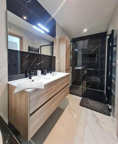 une salle de bain avec un lavabo et une douche dans l'établissement Appartement refait à neuf, à Fléville-devant-Nancy