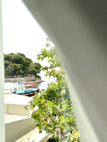 a tree is growing on the side of a building at Olea Blue in Skiathos Town