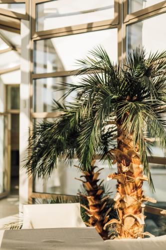 Galería fotográfica de Hotel Libava en Liepāja