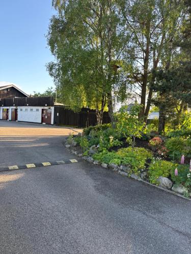 an empty street with a fence and a tree and flowers at Poppy Lodge in Boat of Garten