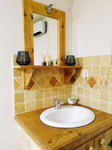 a bathroom with a sink and a mirror at Charmant studio tout équipé in Olliergues
