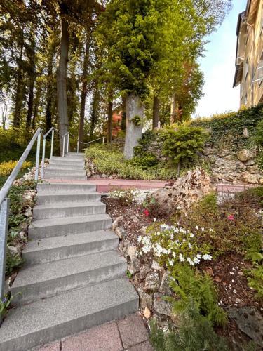 a set of stairs in a park with trees and flowers at Traumferienwohnungen Georgenthal in Georgenthal