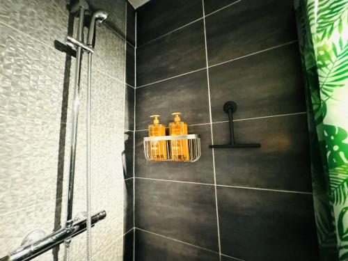 La salle de bains est pourvue d'une douche et de 2 bouteilles de savon. dans l'établissement Le Tropical- Beau T2 à 5min du centre-ville, à Annecy