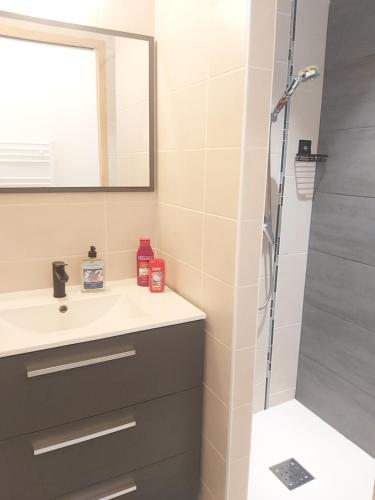 une salle de bain avec un lavabo et une douche dans l'établissement Bleu Azur - Trégor, à Ploubezre