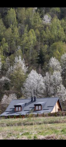 a house with a metal roof in a field at Vila Biser Uvca i Zlatara in Nova Varoš