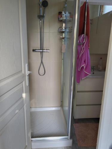 a shower with a glass door in a bathroom at studio à la campagne in Ucciani