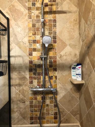 une douche avec pommeau de douche dans une salle de bain dans l'établissement Le Pesquier, à Roquemaure